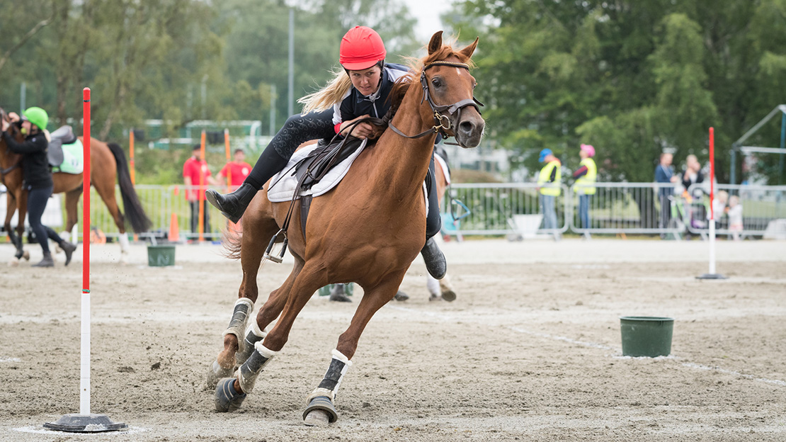 Mounted Games under NM-veka 2019. Foto: Tonja Hjøllo 